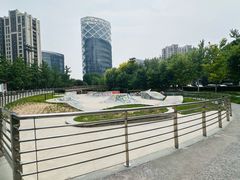 -大望京公园