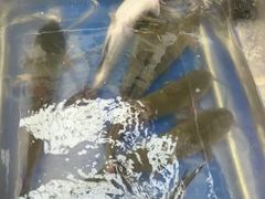 -万达广场(北京槐房店)