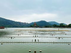 -顺峰山公园