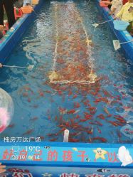 点击看大图 -萌宠亲子动物乐园(槐房万达店)