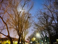 -元大都城垣遗址公园