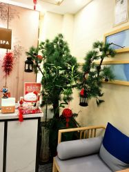 -芳朵美容养生SPA