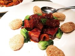 红烧肉焖鱼唇-苏浙总会(国金中心店)