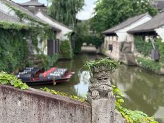 -鲁镇