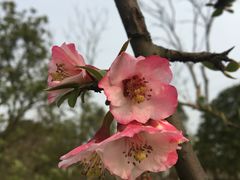 -嬉乐湾休闲旅游区