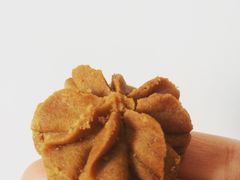 咖啡小花-珍妮曲奇聪明小熊(上环店)