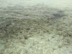 -东姑阿都拉曼海洋公园