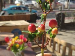 -叁秋咖啡 SANQIU COFFEE(天津河北路店)