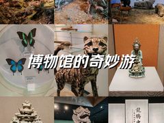 -常州博物馆