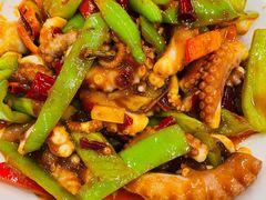 辣炒八爪鱼-胶东海鲜大排档(北太平庄店)