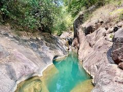 -广州白江湖森林公园