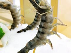 -沄记顺德菜打边炉(东直门店)