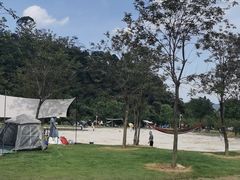 -佛山市三水区大南山森林公园