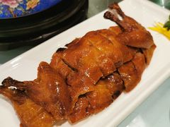 -圆苑(金茂店)