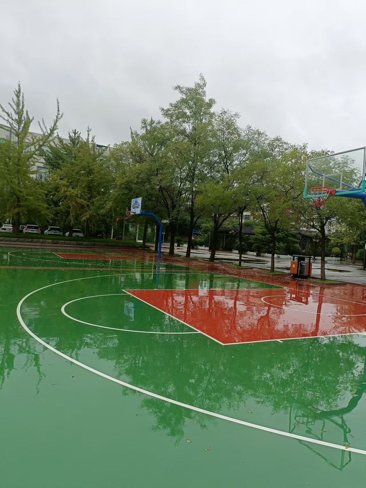 一场不惧风雨奔赴