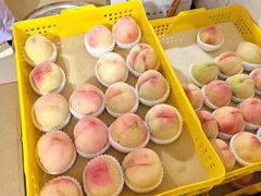 -老袁家蜜桃农场·阳山水蜜桃