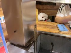 -柿子树炭烤羊腿(金台路店)