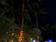 -三亚亚龙湾雅高铂尔曼别墅度假酒店