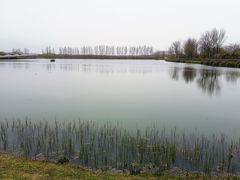 -洨河生态公园