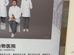 -谐和益家动物医院·免疫绝育·血液透析·宠保定点医院(高新伊藤分院)