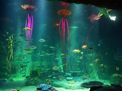 -沈阳海洋探索中心