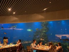 -海棠湾洲际-涛·海底餐厅·美人鱼·自助餐·海底隧道