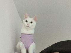 -美联众合24小时·皮肤科·外科·全科诊疗中心(华苑分院)