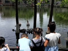 -东莞市可园博物馆