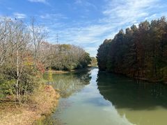 -上海海湾国家森林公园