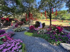 -广州市白云山风景名胜区