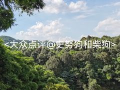 -广州市帽峰山景区