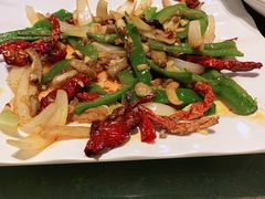 -柴窝堡辣子鸡(文艺路店)