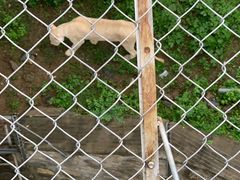 -石家庄市动物园