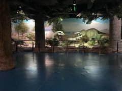 -国家自然博物馆