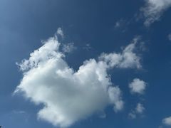 -红黄蓝幼儿园(富苑华城园)