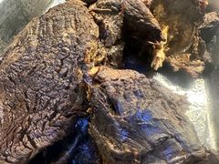 -老北京洪记酱肉坊(德内大街店)