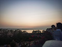 -宝安西湾红树林湿地公园