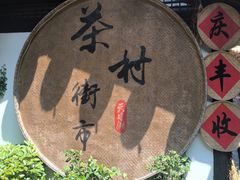 -天目湖山水园