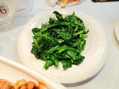 清炒豆尖-峨嵋酒家总店(车公庄店)