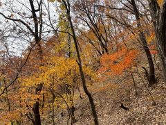 -丹东市五龙山风景区