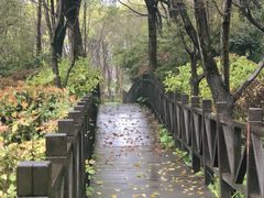 -自然谷恐龙园