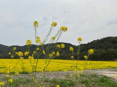 -苏州吴中太湖旅游区