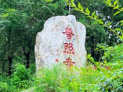 -泰山风景名胜区-普照寺