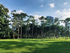 -莲花山公园