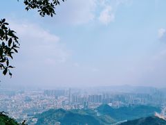 -阳台山森林公园