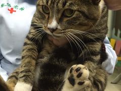 -爱侣宠医·鹦鹉专科·小型哺乳类·异宠专科(灵石路店)