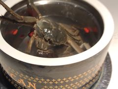 -加餐海鲜自助(宝龙一城店)