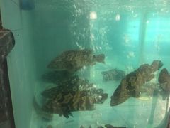-独一处·物新集市(红谷滩店)
