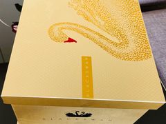 -BLACKSWAN黑天鹅(环球店)