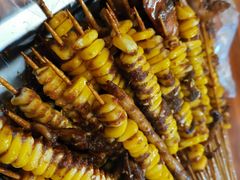 玉米-十里铺铁板鱿鱼